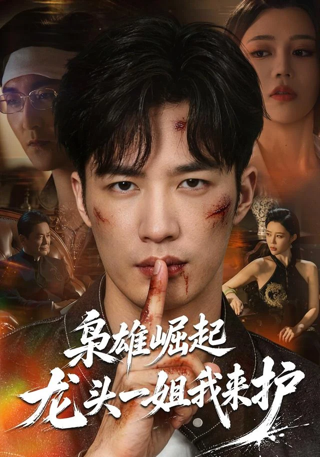 枭雄崛起，龙头一姐我来护作品封面